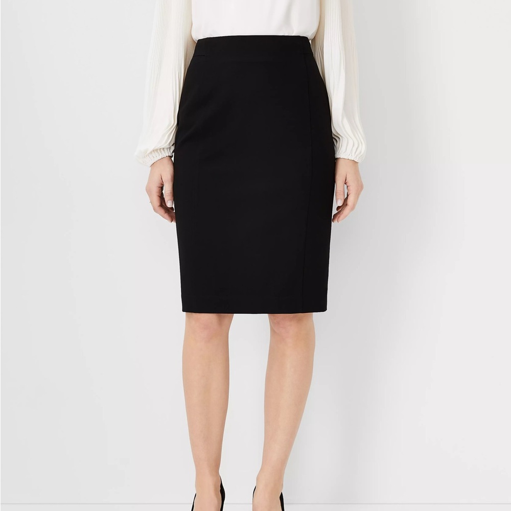 Ann Taylor Skirt